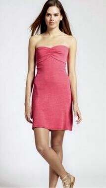 NWT Michael Stars Camilla Tube Dress Mini — O/S Pink Bachelorette Girls Trip